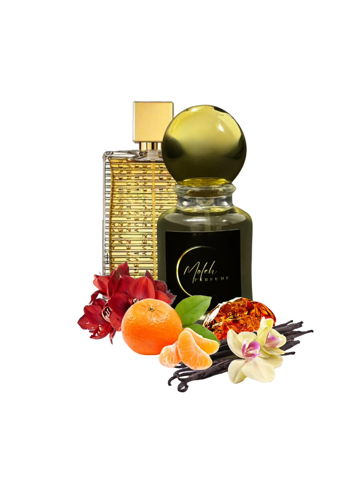 M21 Cinematic Allure