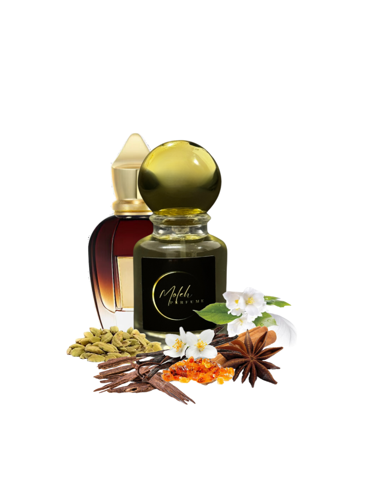 M05 Alexandre royale