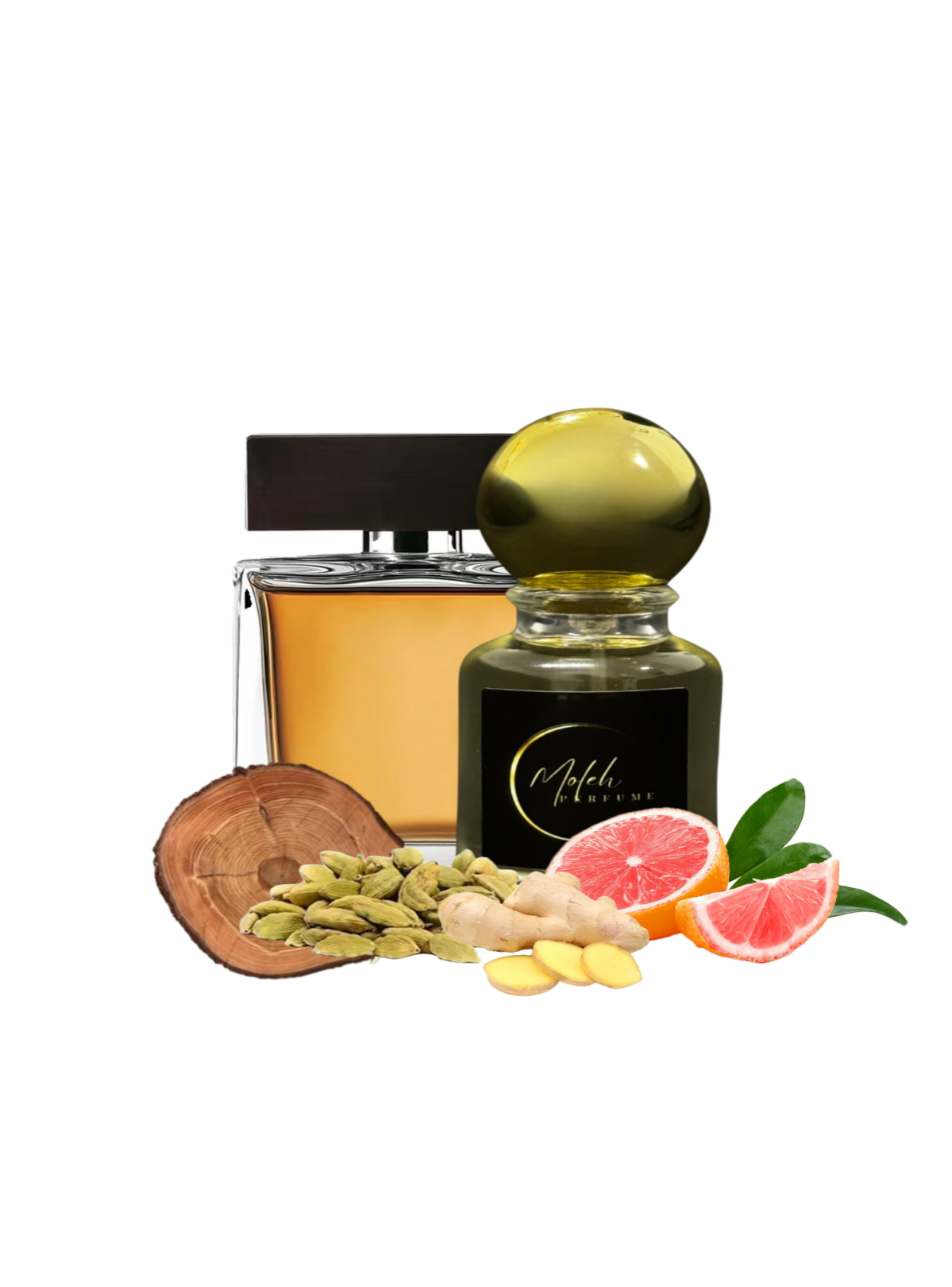 M04 Dona Gabbano The One