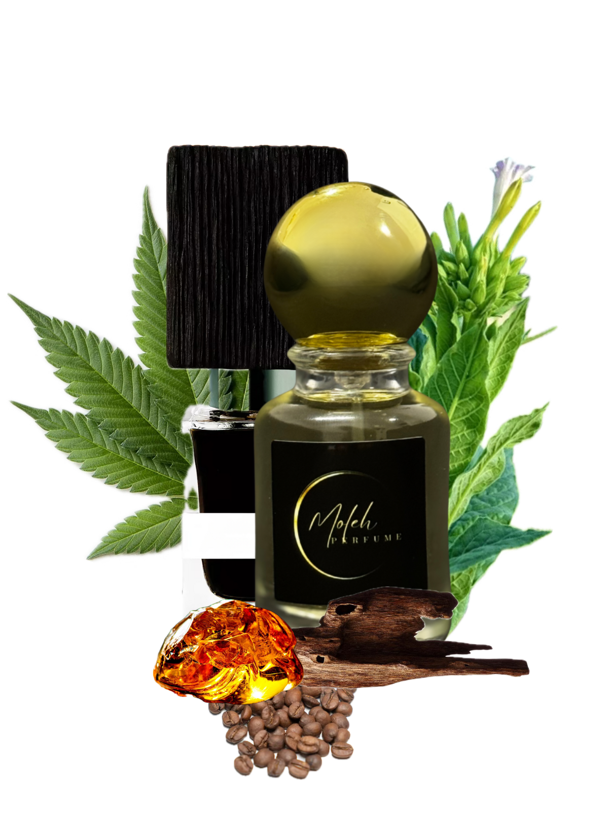 M43 Midnight Afghano